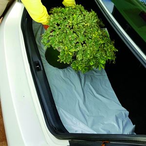 Picture of GREEN PLASTIC TRUNK MAT 